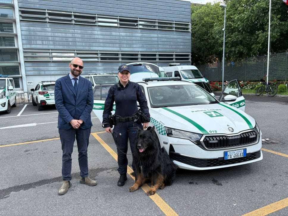 Il cane individua la droga in auto: due arresti della polizia locale