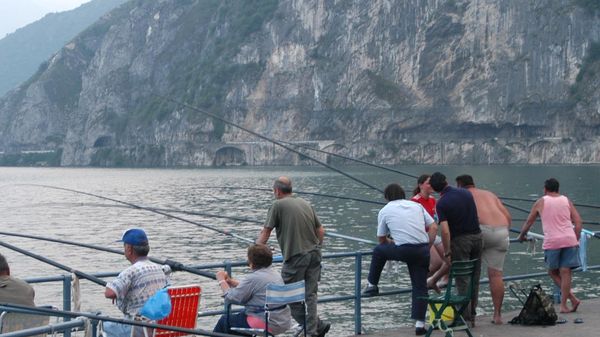 Addio pesca libera alle sarde di lago È la prima volta
