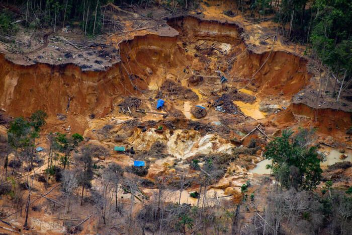 Greenpeace, 100mila ettari di Amazzonia distrutti da cercatori d'oro