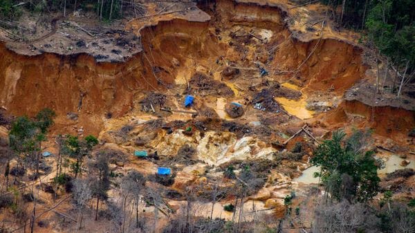 Greenpeace, 100mila ettari di Amazzonia distrutti da cercatori d'oro