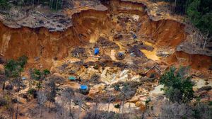 Greenpeace, 100mila ettari di Amazzonia distrutti da cercatori d'oro