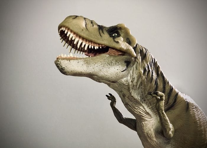 Le braccia corte del T. rex frutto di una diversa tecnica di caccia