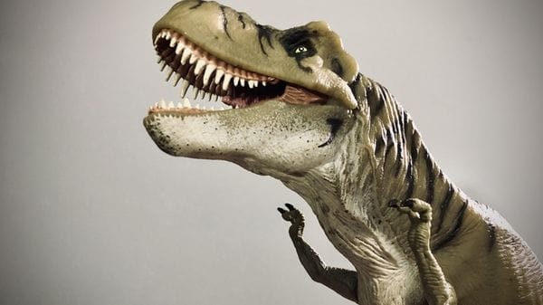 Le braccia corte del T. rex frutto di una diversa tecnica di caccia