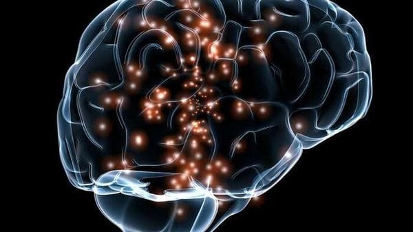 Nel cervello le tracce dei traumi vissuti nell'infanzia