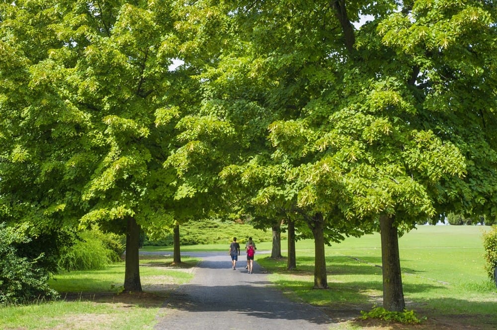 Parco Giardino Sigurtà incanta il visitatore con natura e installazioni colorate
