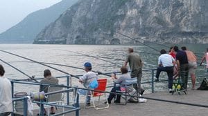Addio pesca libera alle sarde di lago, è la prima volta