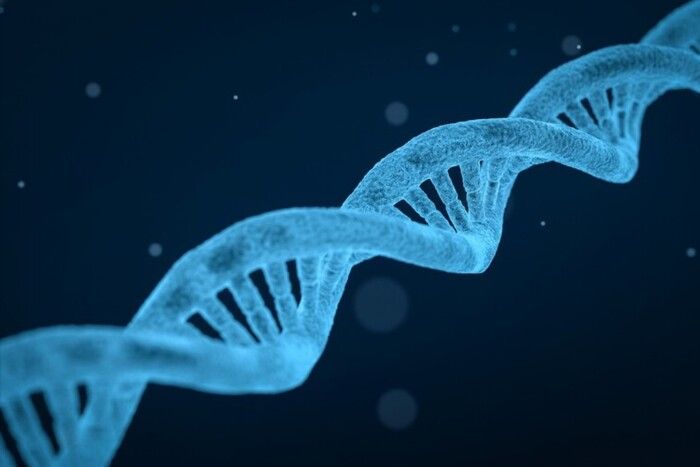 Nuova tecnica per analizzare il Dna, legge anche sezioni finora escluse