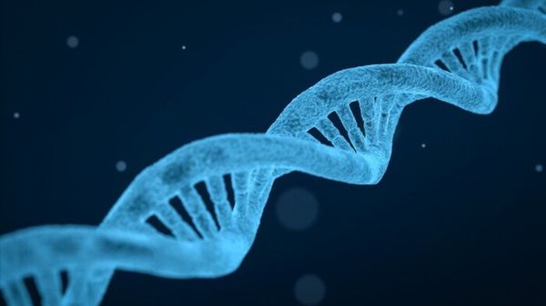 Nuova tecnica per analizzare il Dna, legge anche sezioni finora escluse
