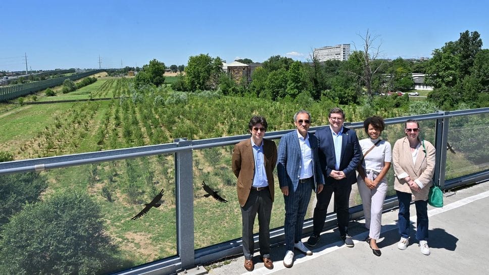 Un bosco da 3.600 alberi per dare respiro alle città di Treviglio e Caravaggio
