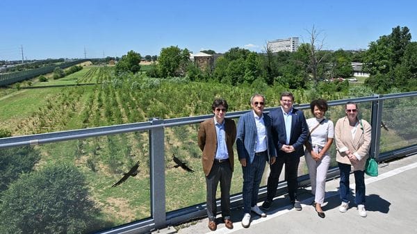Un bosco da 3.600 alberi per dare respiro alle città di Treviglio e Caravaggio