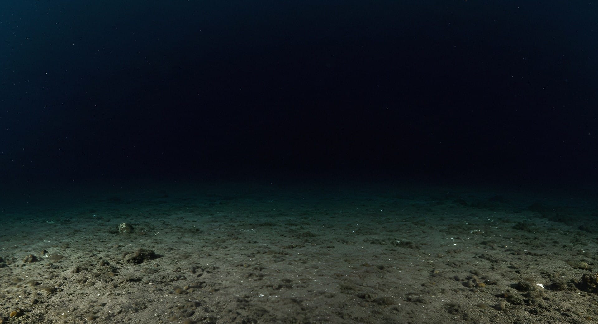 Nel buio dell’inconscio: perché l’oscurità ci spaventa?