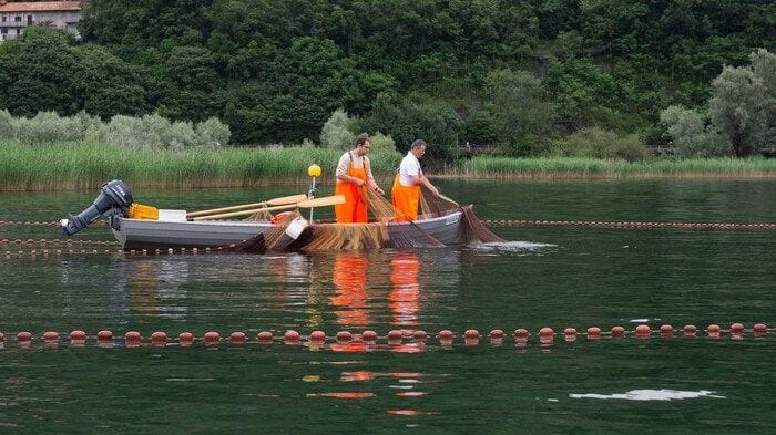 Lago d'Orta, in 50 anni +2 gradi dell'acqua e specie aliene in aumento