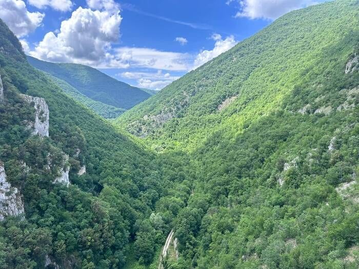 L'Italia è diventata una nazione forestale, superati i 100mila km quadrati