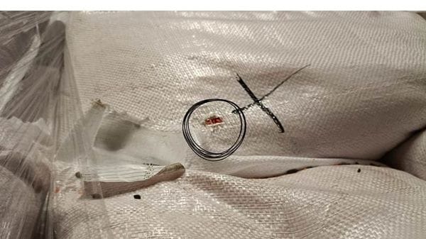 Blatte in cucina e roditori tra le derrate: doppio stop di Ats in Bergamasca