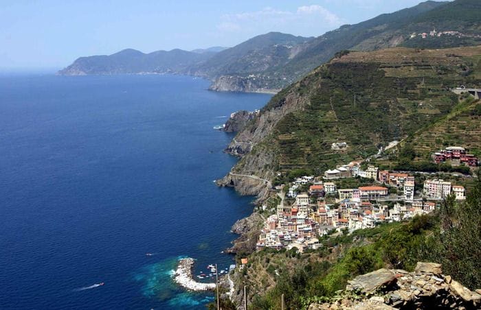 Il parco delle 5 Terre guiderà un progetto europeo per salvare insetti impollinatori