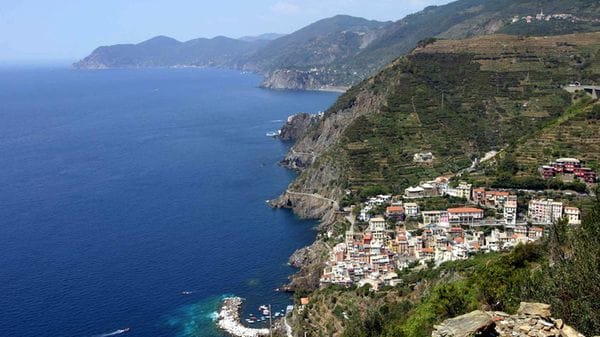 Il parco delle 5 Terre guiderà un progetto europeo per salvare insetti impollinatori