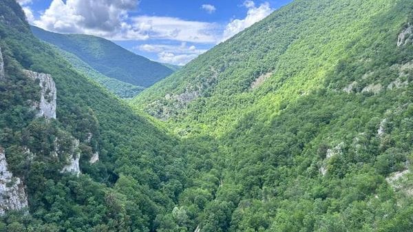 L'Italia è diventata una nazione forestale, superati i 100mila km quadrati