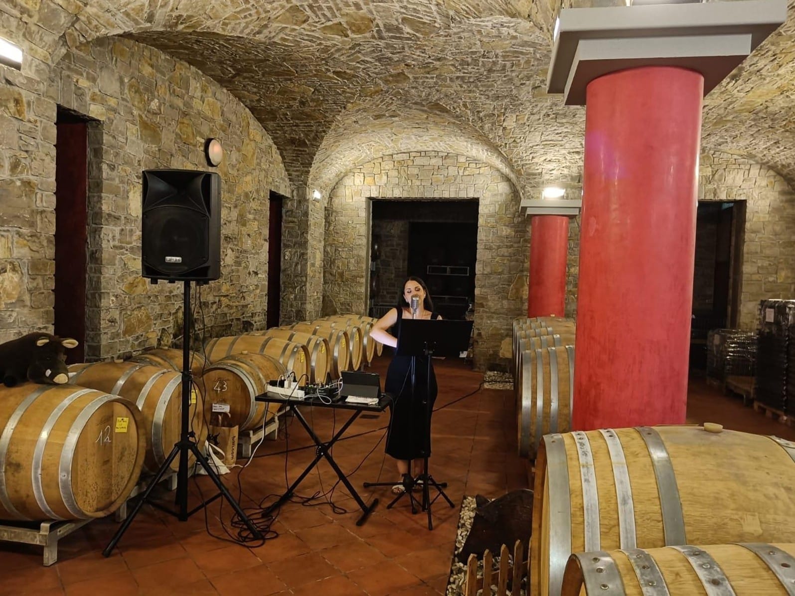 Torna «Torre d’Arte», la rassegna che fa risuonare i colli