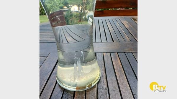 METEO Regazzoni