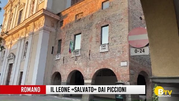 Romano: barriata anti piccioni per difendere il leone di San Marco