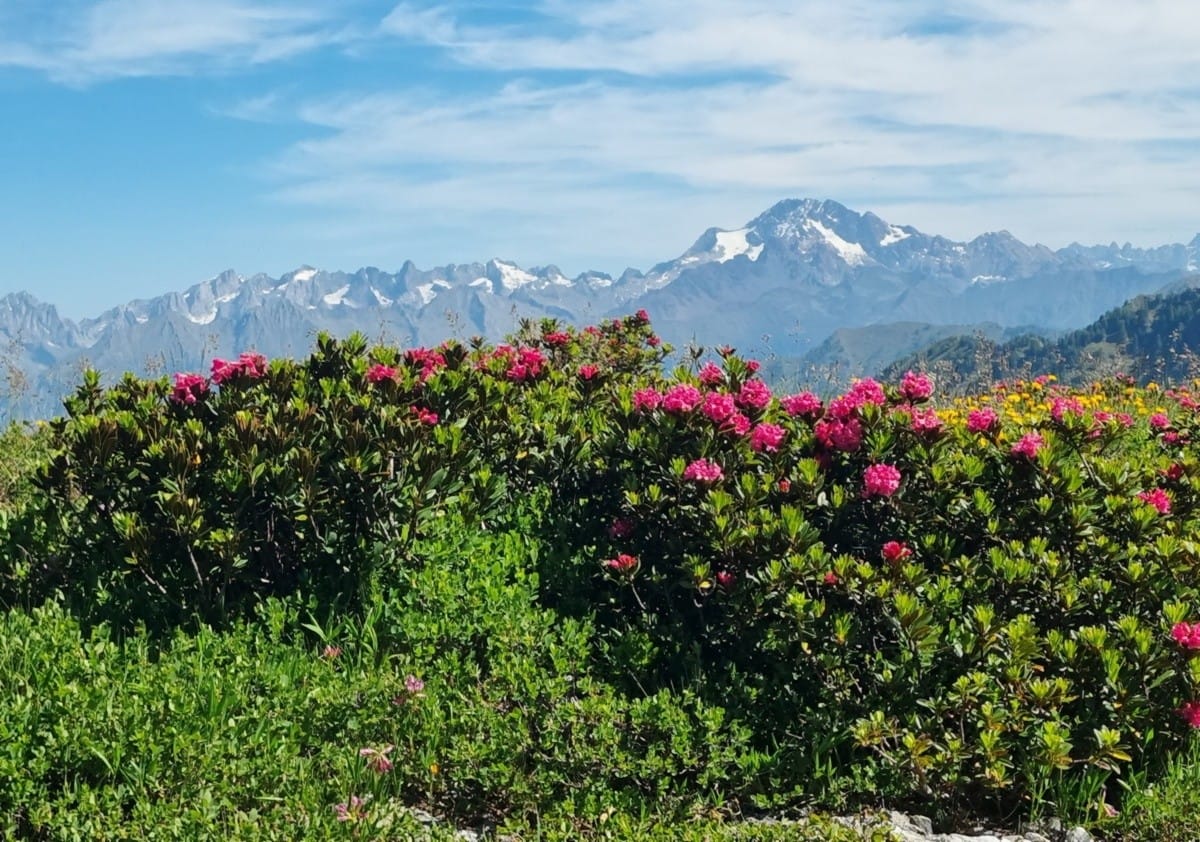 Danzando tra la Valtellina e la Val Brembana 
