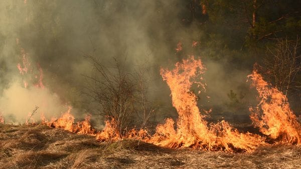 Il caldo e la siccità aggravano il pericolo incendi nelle nostre valli