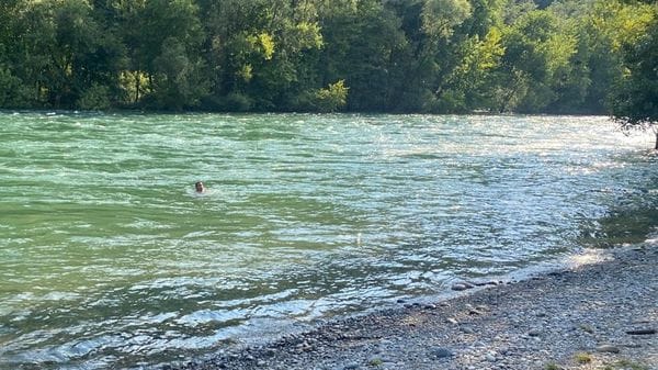 Medolago, 23enne rischia di annegare nell’Adda: salvato dai bagnanti