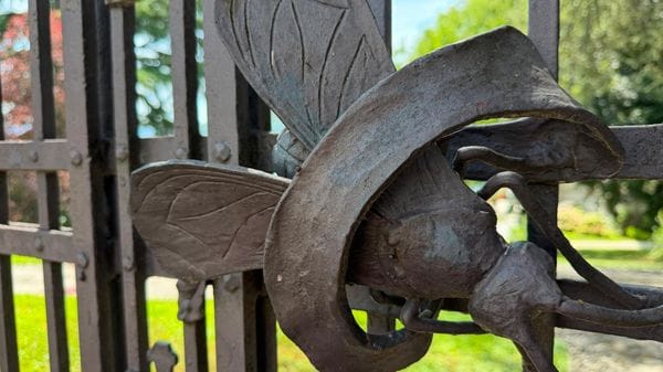 «CercaBergamo», il gioco: dove porta questo insetto in ferro battuto? Rispondi al quiz