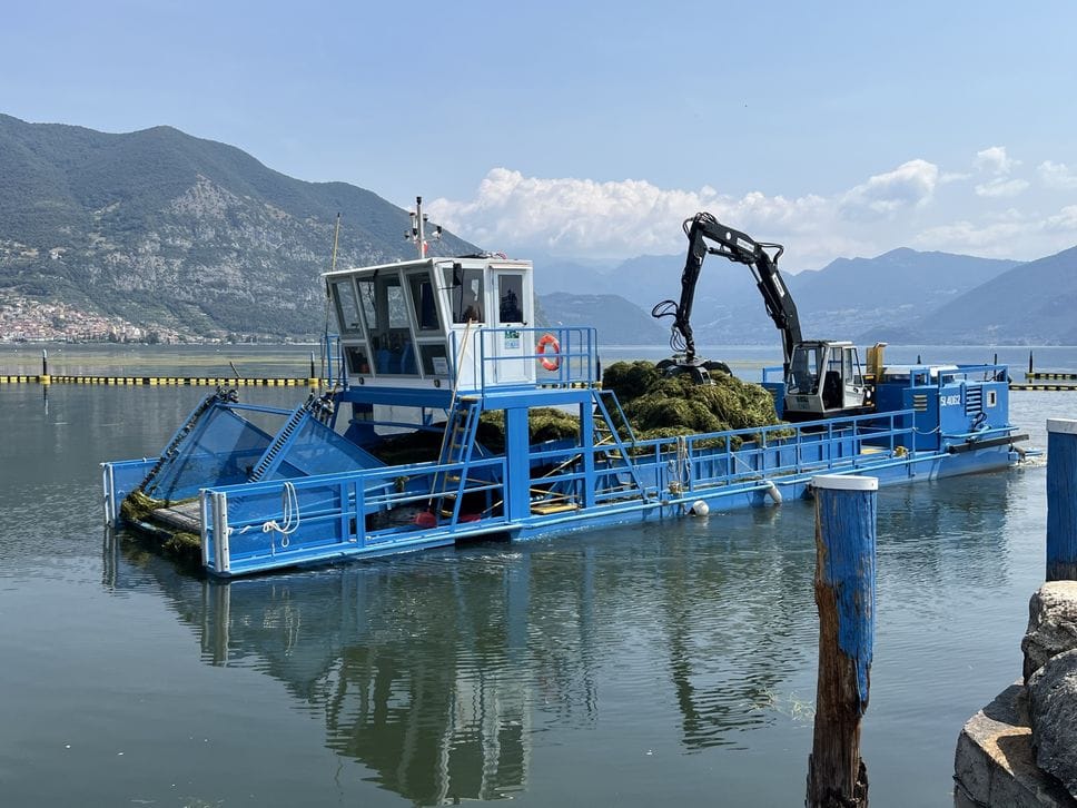 Siccità, lago d’Iseo in continua discesa. E proliferano le alghe