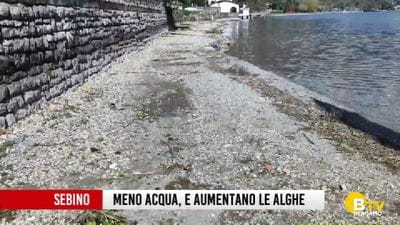 https://storage.ecodibergamo.it/media/photologue/2026/7/14/photos/cache/sul-sebino-diminuisce-lacqua-e-aumentano-le-alghe_e9bbcc2c-7f62-11f1-87cc-a1e5fec60b75_display.jpg