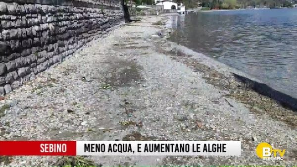 Sul Sebino diminuisce l'acqua e aumentano le alghe