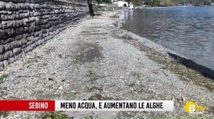 Sul Sebino diminuisce l'acqua e aumentano le alghe
