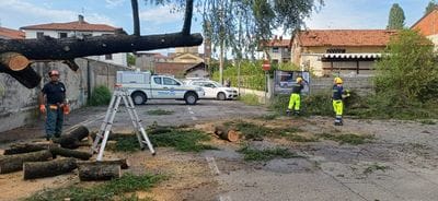 https://storage.ecodibergamo.it/media/photologue/2026/7/15/photos/cache/alberi-caduti-a-boltiere_07cfa7a6-806c-11f1-83c0-d76bafe407c5_1920_1080_display.jpg