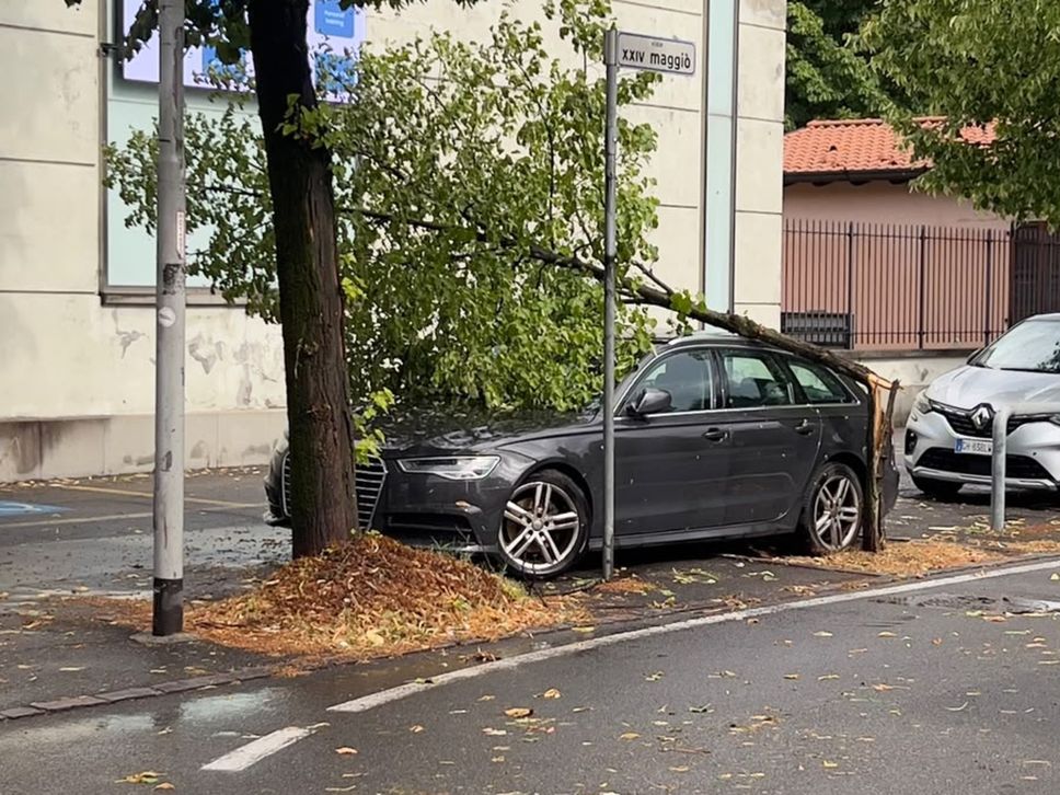 Maltempo: rami spezzati, alberi caduti e un’auto ribaltata, oltre 90 chiamate ai vigili del fuoco- Foto/Video