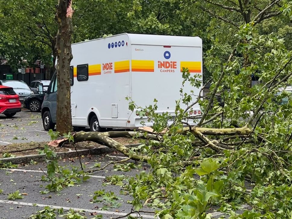 Maltempo: rami spezzati, alberi caduti e un’auto ribaltata, oltre 90 chiamate ai vigili del fuoco- Foto/Video
