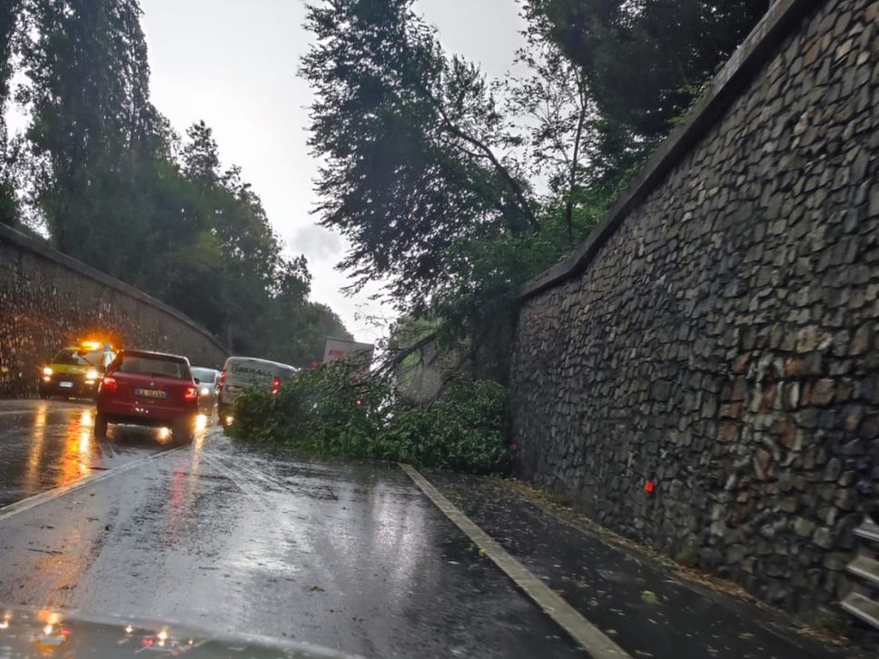 Maltempo: rami spezzati, alberi caduti e un’auto ribaltata, oltre 90 chiamate ai vigili del fuoco- Foto/Video