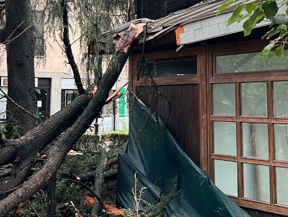 Rami spezzati e alberi caduti, i danni del temporale in Bergamasca- Foto/Video