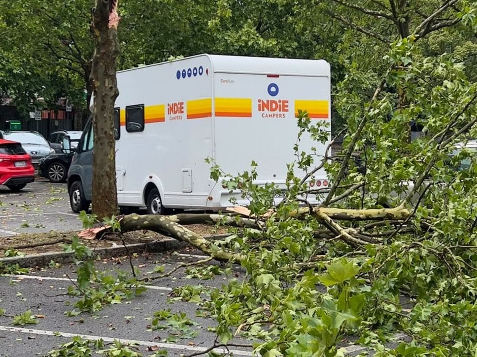 Rami spezzati e alberi caduti, i danni del temporale in Bergamasca- Foto/Video