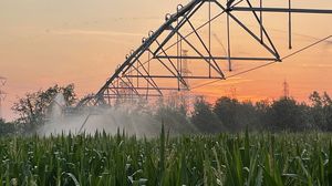 Agricoltura, in Lombardia quantità d’acqua garantite per altri otto giorni
