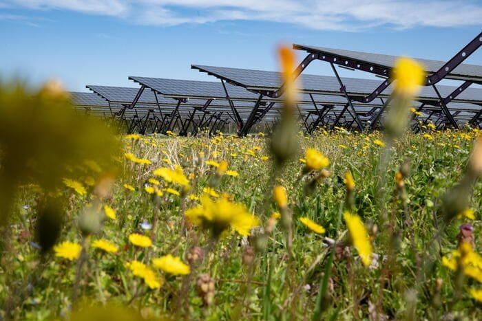 Consulta, legittimo il divieto per il fotovoltaico a terra in zone agricole