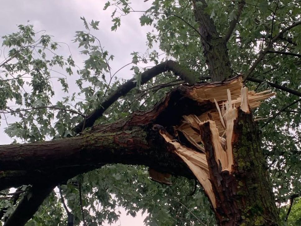 Forte temporale all’alba, tetti scoperchiati a Calcinate e Grumello - Foto