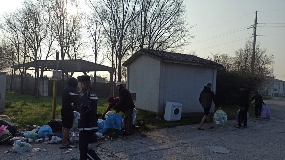 Nella Bassa 69 illeciti ambientali accertati in sei mesi