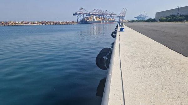 Porto Gioia Tauro, meganave in banchina alimentata dalle rete elettrica dello scalo