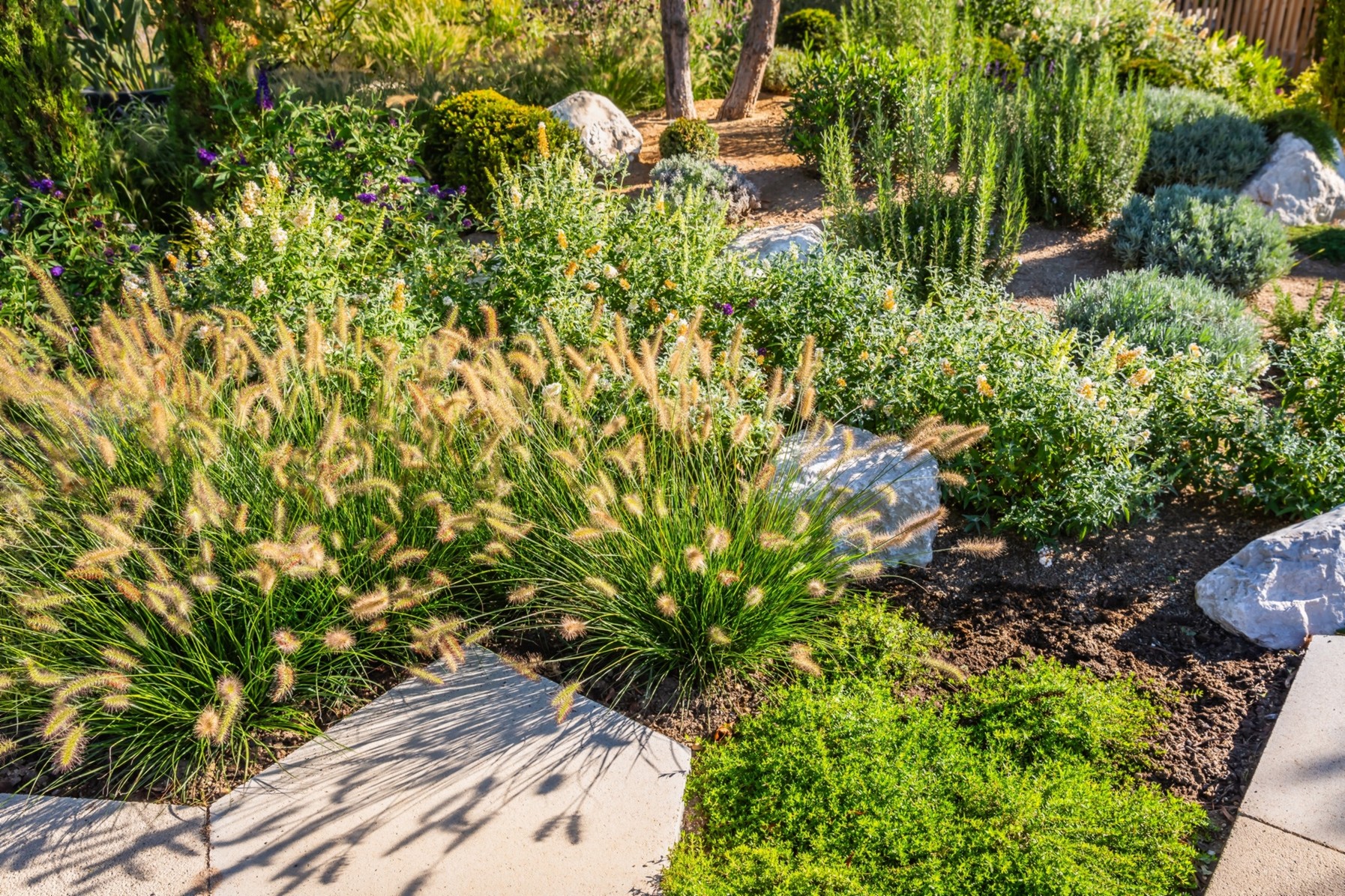 Una guida essenziale per ideare un giardino resiliente al caldo 