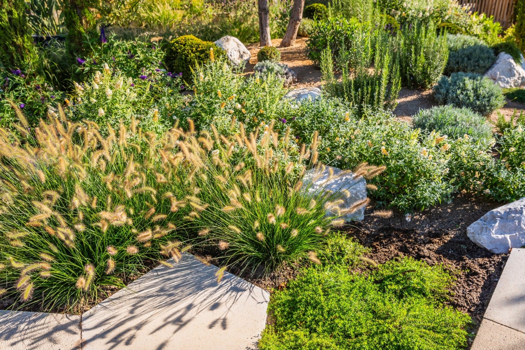 Una guida essenziale per ideare un giardino resiliente al caldo 