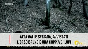 BERGAMO TG