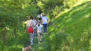 Camminare senza fretta. A Colere il sentiero diventa un viaggio tra natura, arte e sapori