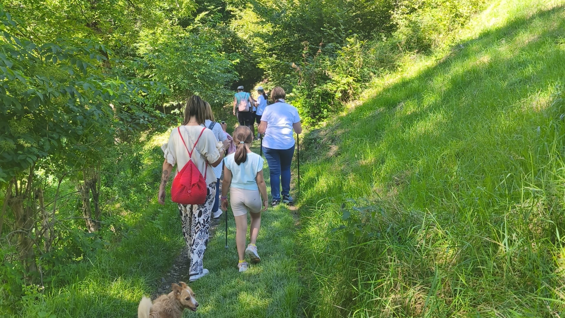 https://storage.ecodibergamo.it/media/photologue/2026/7/20/photos/camminare-senza-fretta-a-colere-il-sentiero-diventa-un-viaggio-tra-natura-arte_555866ae-81dc-11f1-a361-e06bbbdd9fcf_1920_1080.jpg