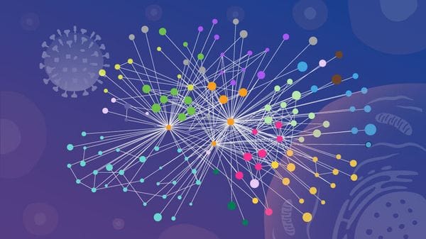 Il virus dell'influenza riprogramma le cellule umane infettate 