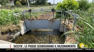 BERGAMO TG ORE12